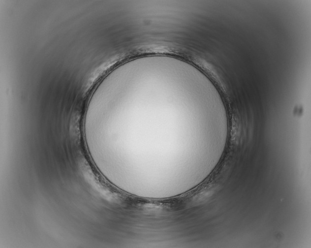 X0000112040394200908241608