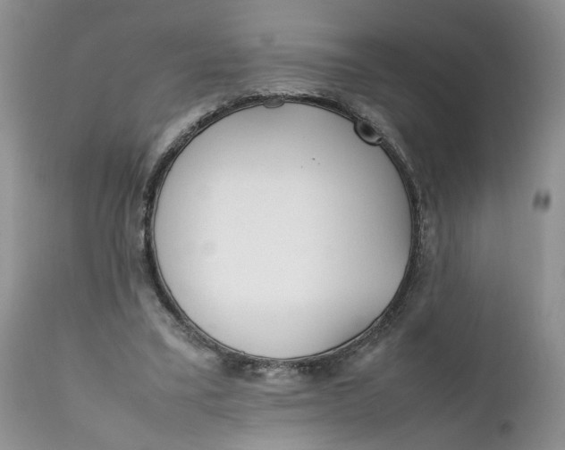 X0000112040395200908241608