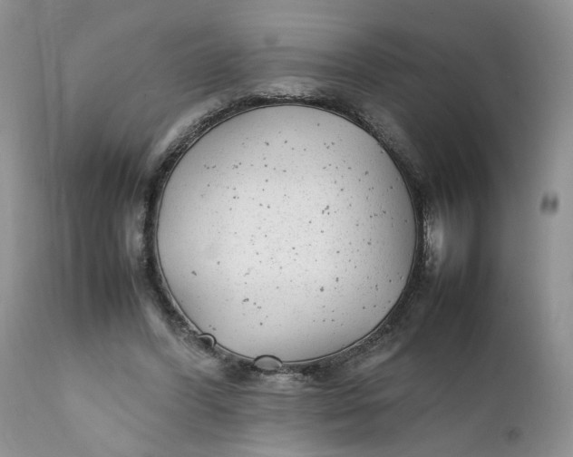 X0000112040396200908241607