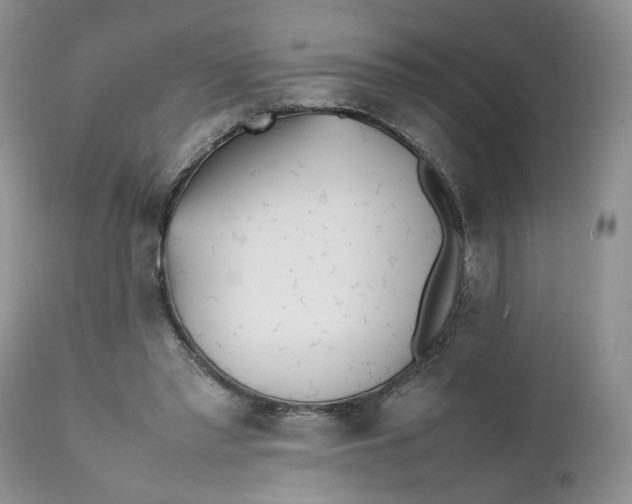 X0000112040397200908241607