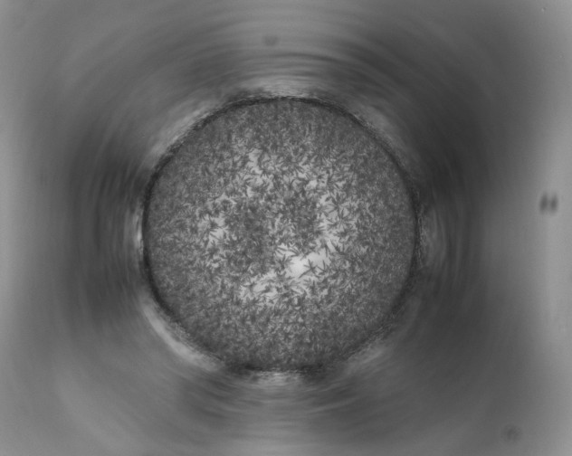 X0000112040398200908241607