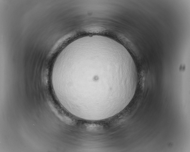 X0000112040400200908241607