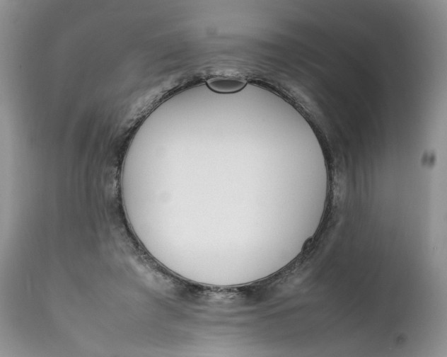 X0000112040401200908241607