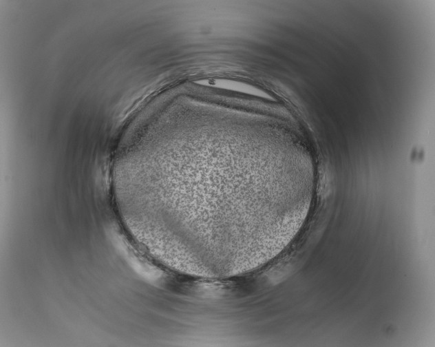 X0000112040405200908241607