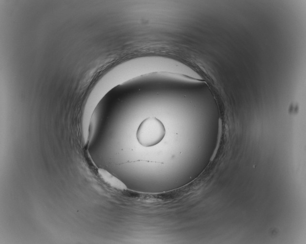 X0000112040407200908241607