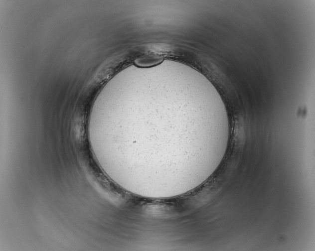 X0000112040408200908241607