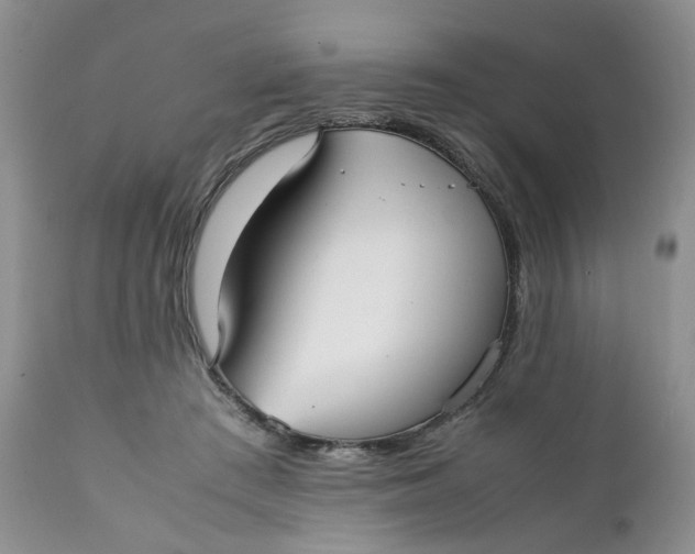 X0000112040409200908241607