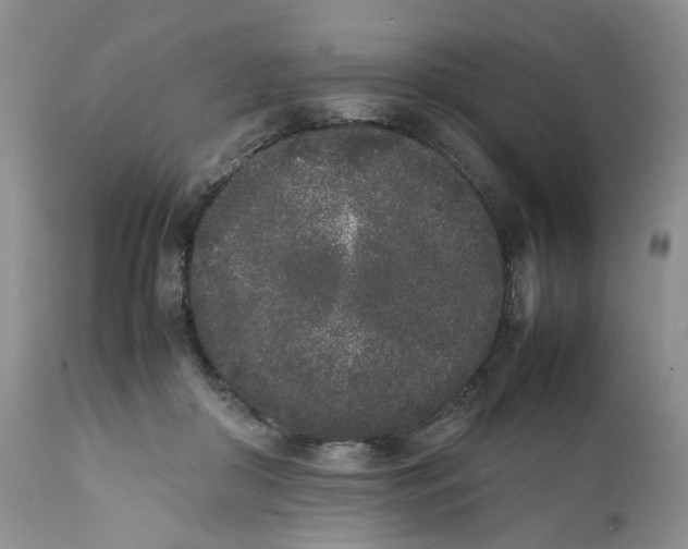 X0000112040410200908241607