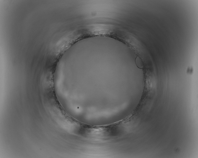 X0000112040411200908241607