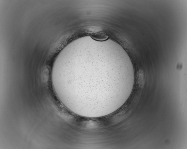 X0000112040412200908241607