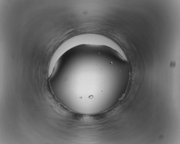 X0000112040413200908241607