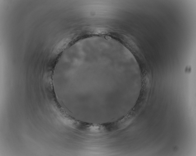 X0000112040415200908241607