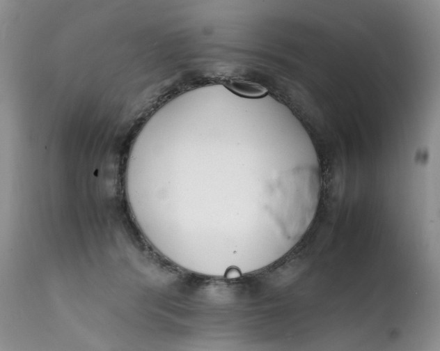 X0000112040416200908241607