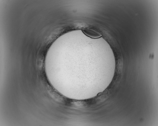 X0000112040417200908241607