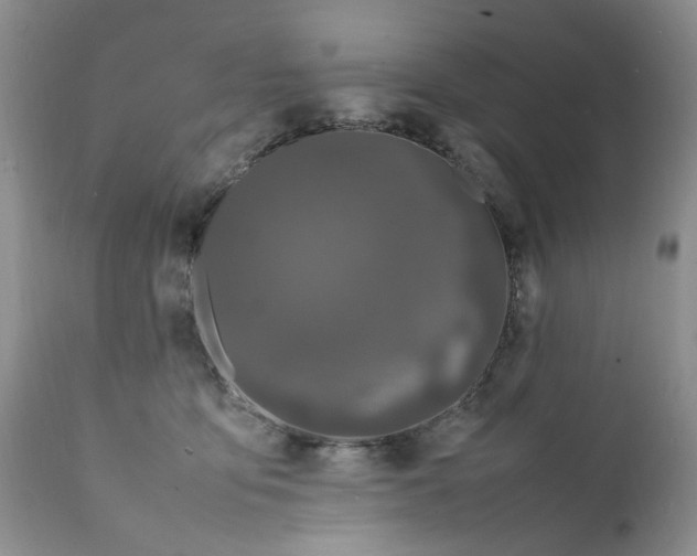 X0000112040419200908241607