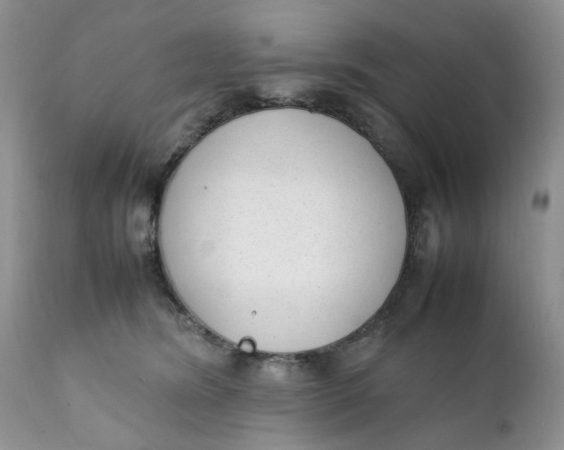X0000112040420200908241607