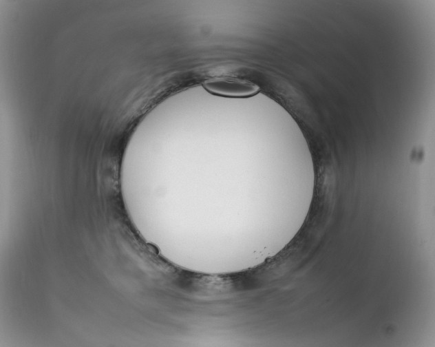 X0000112040421200908241607
