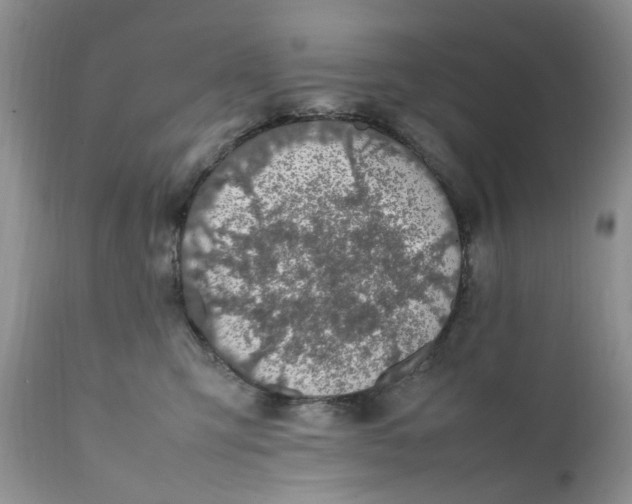 X0000112040423200908241607