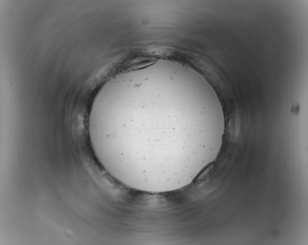 X0000112040424200908241607