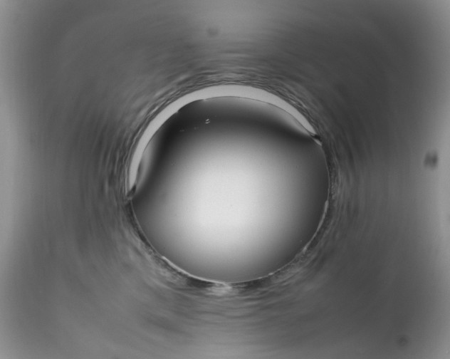 X0000112040425200908241607