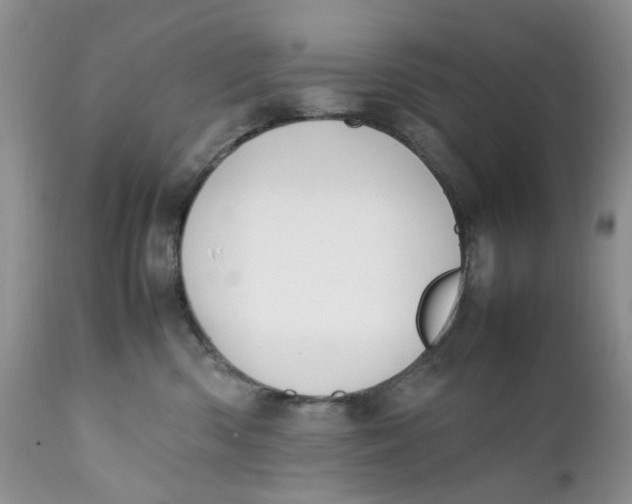 X0000112040426200908241607