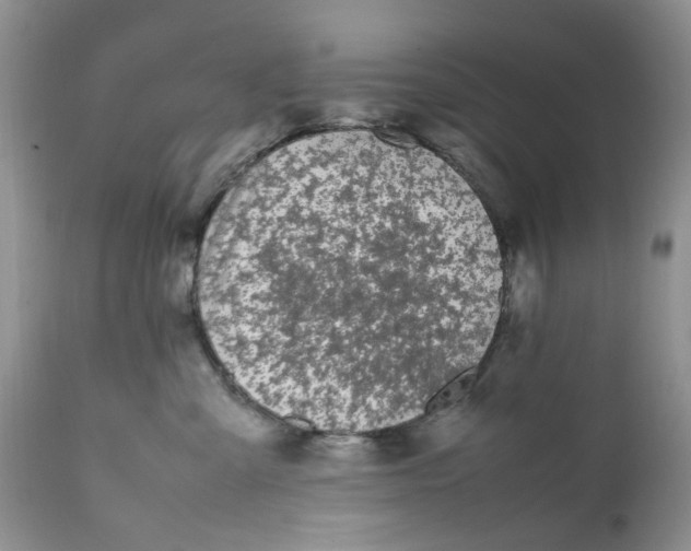 X0000112040427200908241607
