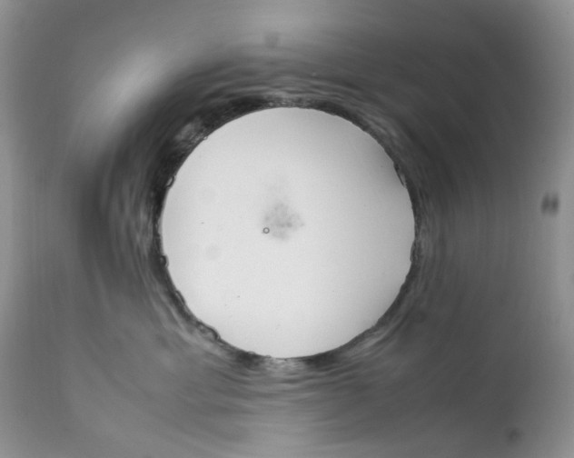 X0000112040429200908241607