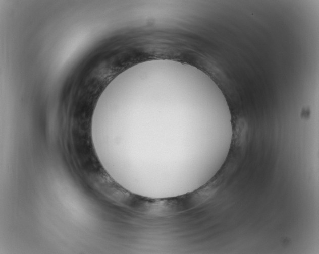 X0000112040430200908241607