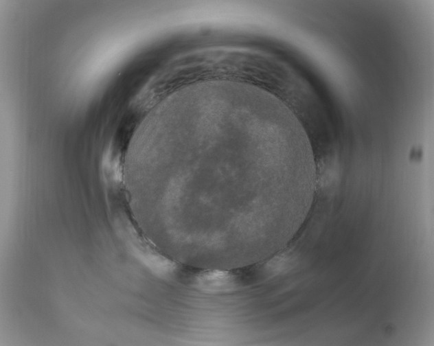 X0000112040431200908241607