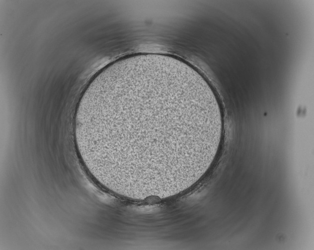 X0000112040433200908241606