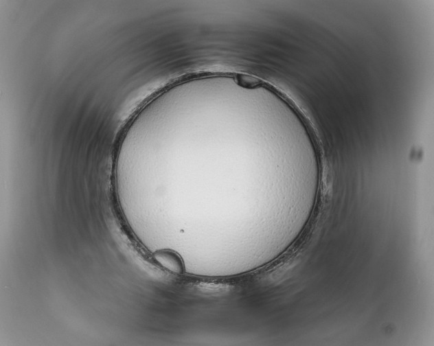 X0000112040437200908241606