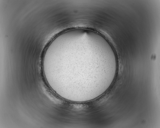 X0000112040439200908241606