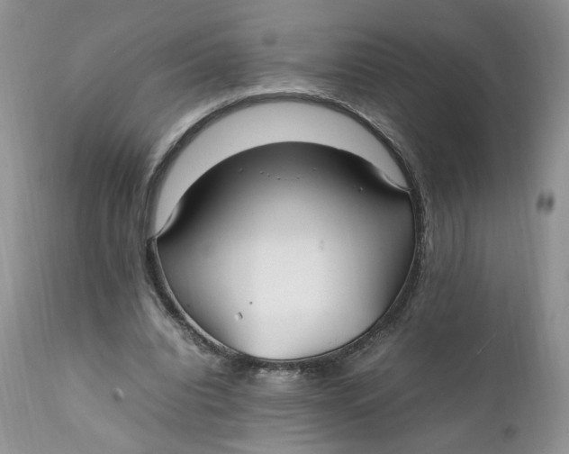 X0000112040440200908241606