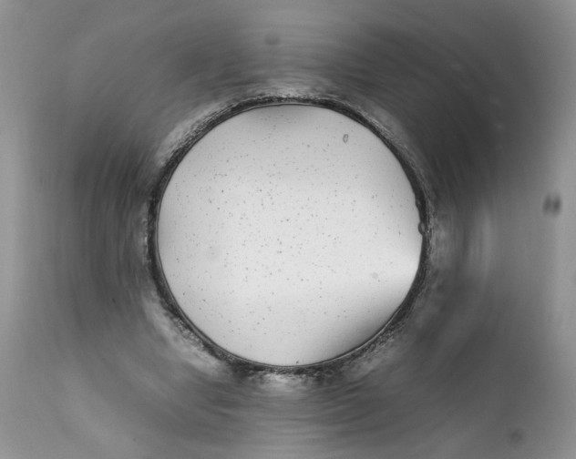 X0000112040442200908241606