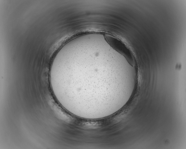 X0000112040445200908241606