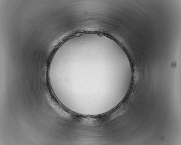X0000112040446200908241606