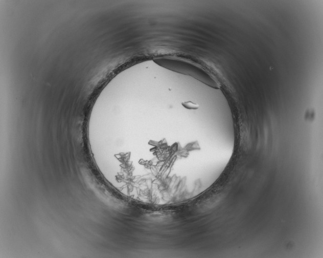 X0000112040447200908241606