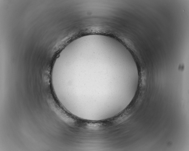 X0000112040450200908241606