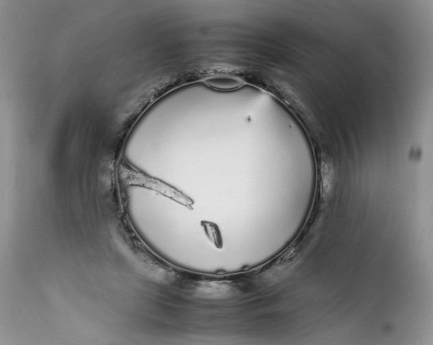 X0000112040451200908241606