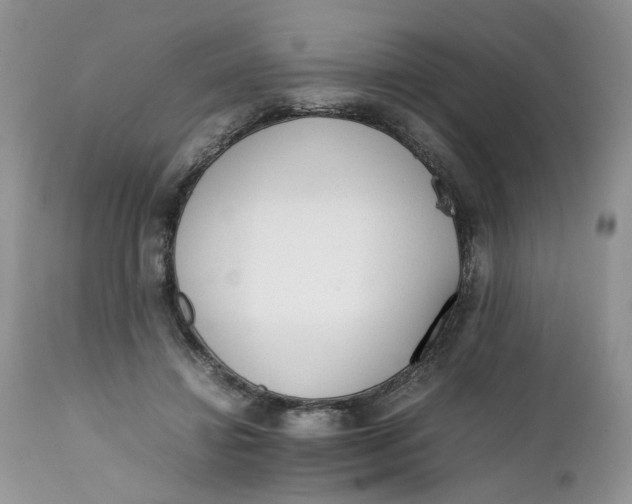 X0000112040452200908241606