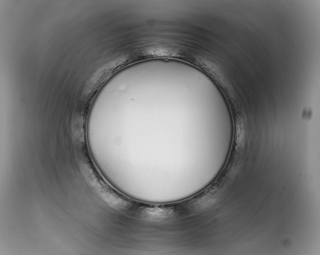 X0000112040453200908241606