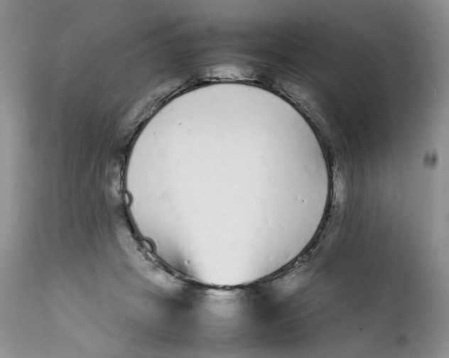 X0000112040457200908241607