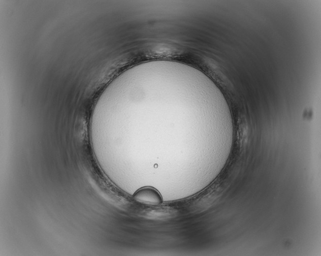 X0000112040459200908241607
