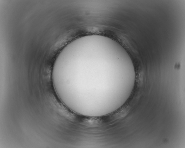 X0000112040466200908241607