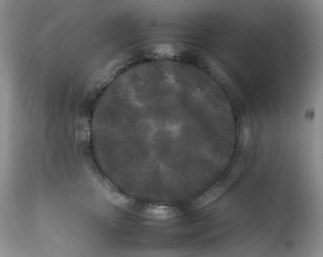 X0000112040467200908241607