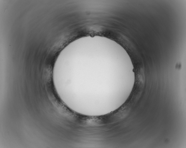 X0000112040468200908241607
