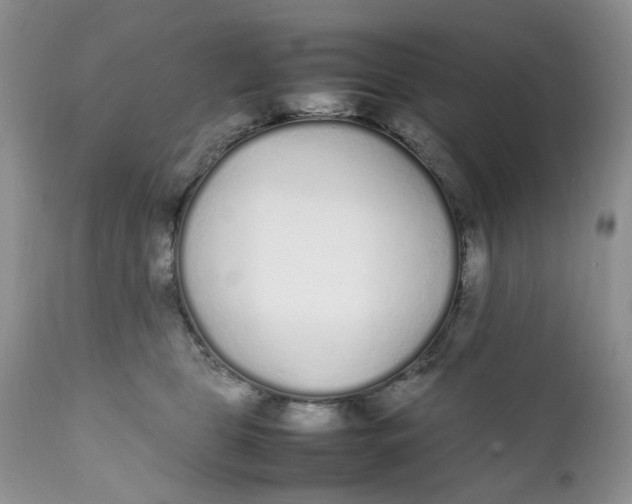X0000112040469200908241607