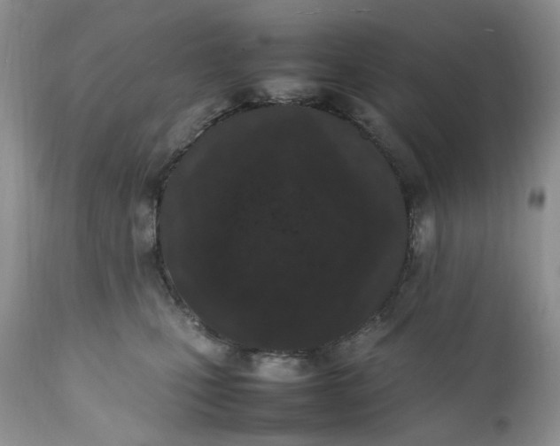 X0000112040471200908241607