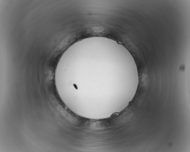 X0000112040472200908241607