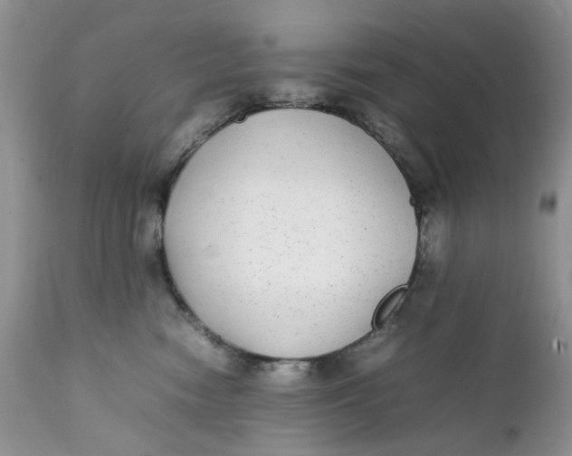 X0000112040474200908241607